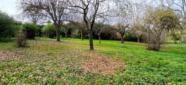 Saint-André-de-Corcy - Terrain à Batir pièce