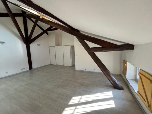 Ambérieux-en-Dombes - Appartement pièces