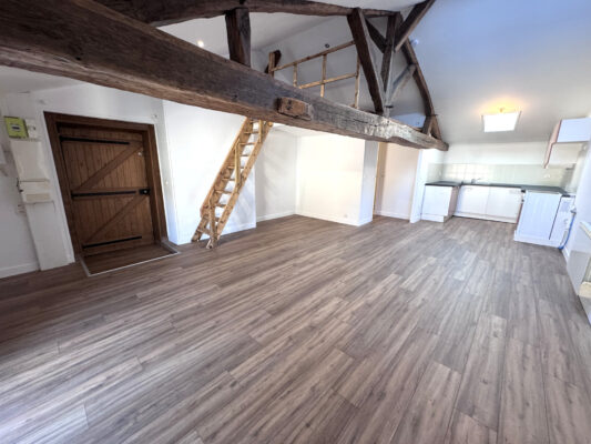 Châtillon-sur-Chalaronne - Appartement pièce