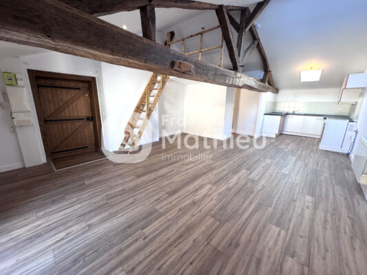 Châtillon-sur-Chalaronne - Appartement pièce