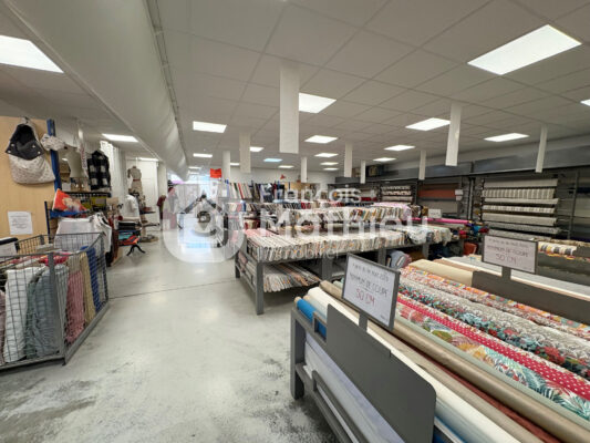 Saint-André-de-Corcy - Local Professionnel pièce